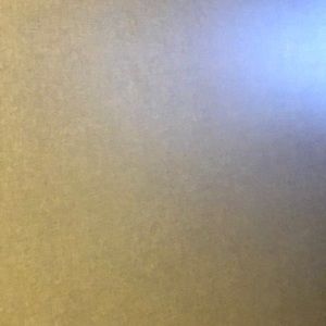 Meet your Posher, Ginger